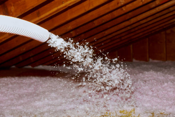Best DIY Insulation Kits and Guidance in Nellis Af, NV