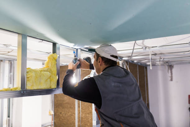 Best Fiberglass Insulation in Nellis Af, NV