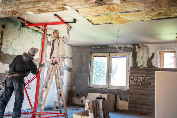 Best Geographic-Specific Insulation Services in Nellis Af, NV