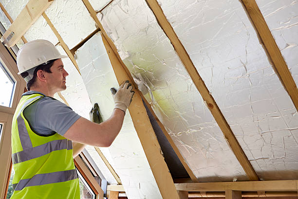 Best Commercial Insulation in Nellis Af, NV